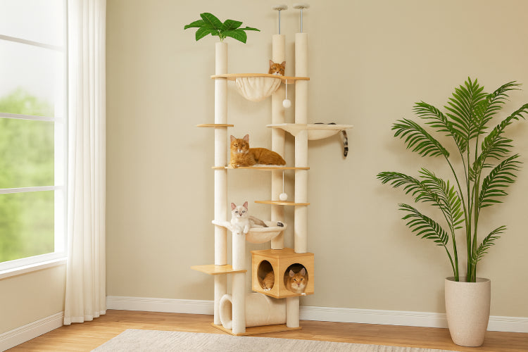 Arbre à Chat 2m sol