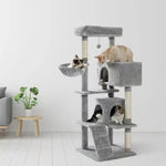 Arbre à chat gris - Vignette | ChatMour