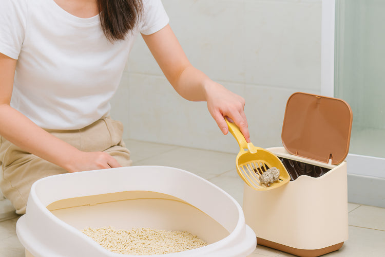 Bac à litière portable main