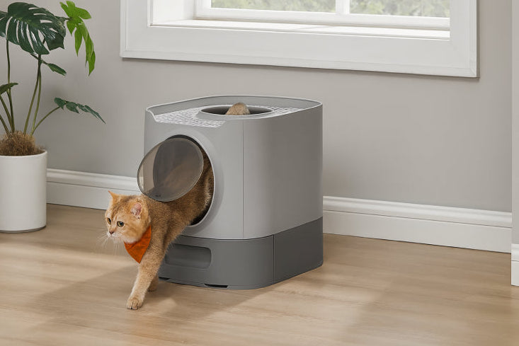 Bac à litière pour chat XXL fenêtre