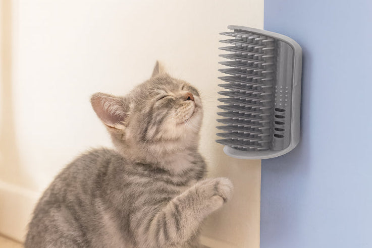 Brosse d'angle pour chat murales