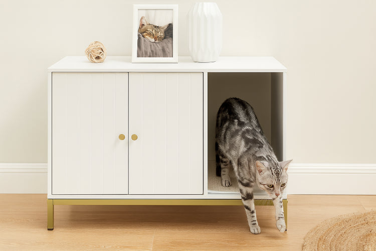 Cache litière pour chat salon