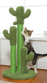 Cactus griffoir pour chat - Vignette | ChatMour
