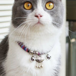 Clochette collier chat - Vignette | ChatMour