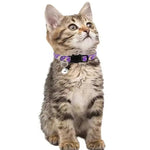 Clochette collier chat - Vignette | ChatMour