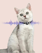 Collier GPS pour chat - Vignette | ChatMour