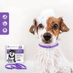 Collier anti stress chat - Vignette | ChatMour