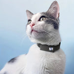 Collier camera connectée portable pour chats - Vignette | ChatMour