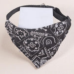 Collier chat bandana - Vignette | ChatMour