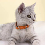Collier chat cuir anti étranglement - Vignette | ChatMour