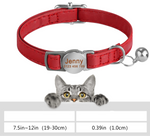 Collier chat cuir personnalisé - Vignette | ChatMour