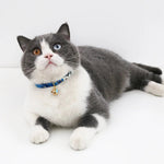 Collier chat femelle - Vignette | ChatMour