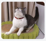 Collier chat personnalisé anti étranglement - Vignette | ChatMour