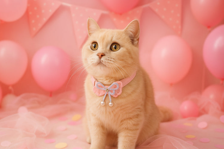 Collier chat rose fête