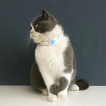 Collier pour GPS pour chat sans abonnement - Vignette | ChatMour