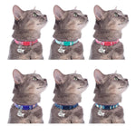 Collier pour chat en nylon à personnaliser - Vignette | ChatMour