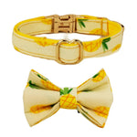 Collier pour chat gravé personnalisé - Vignette | ChatMour