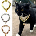 Collier pour chat male - Vignette | ChatMour