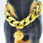 Collier pour chat male - Vignette | ChatMour