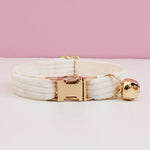 Collier pour chat personnalisable - Vignette | ChatMour