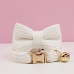 Collier pour chat personnalisable - Vignette | ChatMour