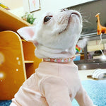 Collier pour chat strass - Vignette | ChatMour