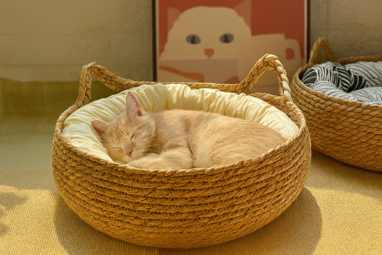 Couchage panier chat coussin blanc
