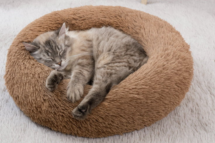 Coussin pour chat marron peluche