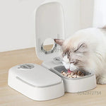Double distributeur nourriture pour chat - Vignette | ChatMour