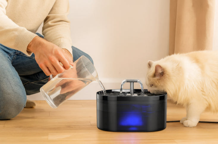 Fontaine d'eau XXL pour chat tasse