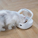 Gamelle chat puce - Vignette | ChatMour