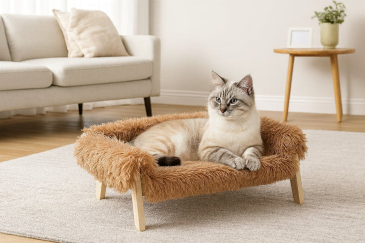 Grand lit pour chat peluche