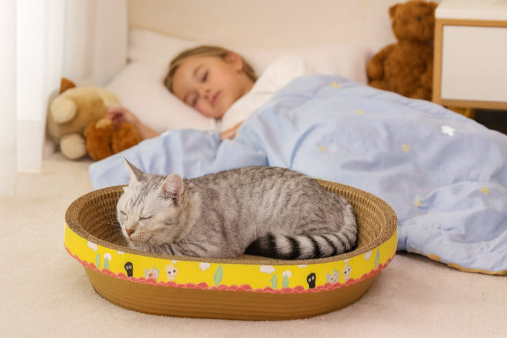 Griffoir planche à gratter fille