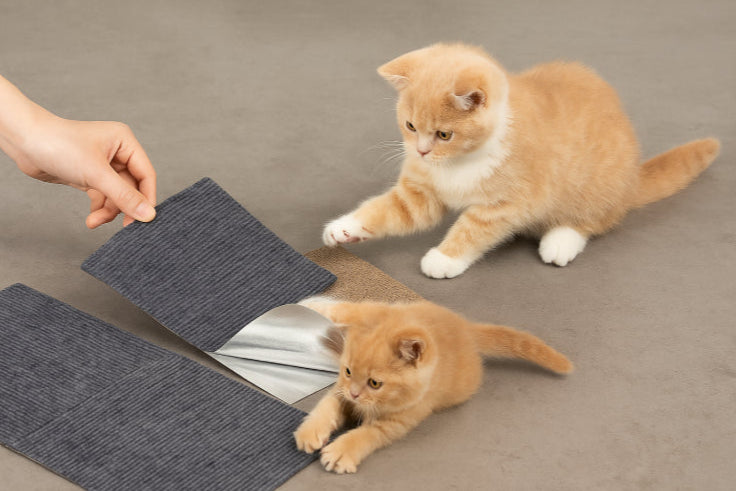 Griffoir tapis adhésif petit chat