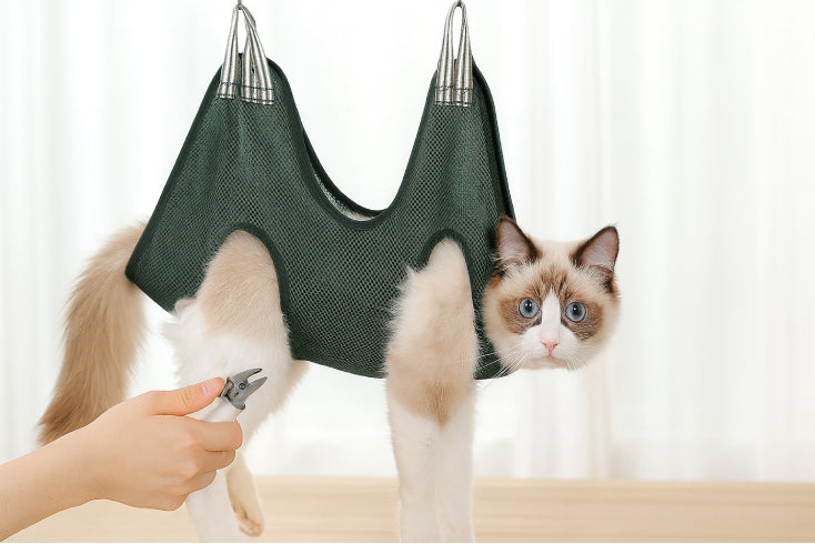 Hamac de toilettage chat coupe ongles