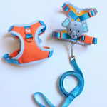 Harnais canard pour chat - Vignette | ChatMour