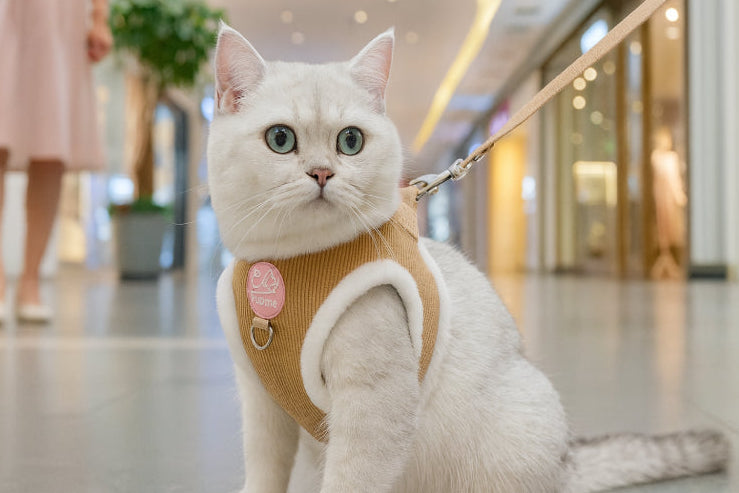 Harnais fourrure pour chat centre commercial