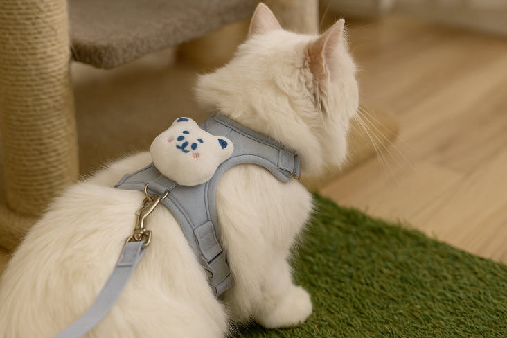 Harnais peluche pour chat bleu dos