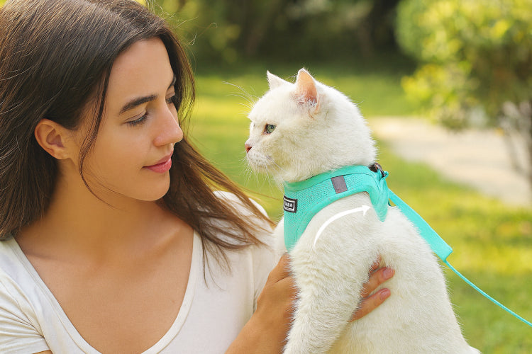 Harnais réfléchissant chat fille