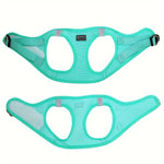 Harnais réfléchissant chat - Vignette | ChatMour