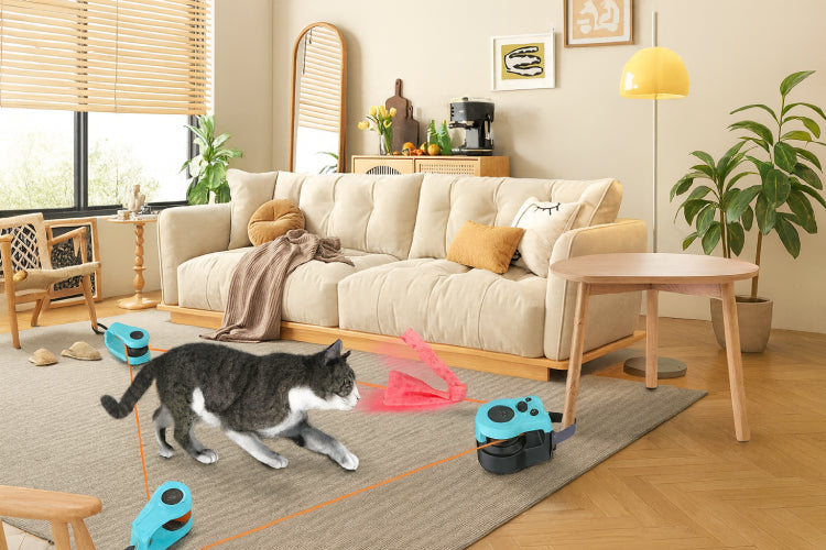 Jouet interactif pour chat actif salon