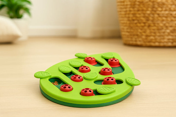 Jouet pour chat interactif feuilles vert