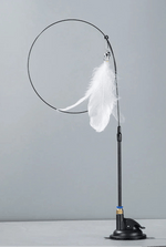 Jouets pour chats d'appartement - Vignette | ChatMour