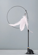 Jouets pour chats d'appartement - Vignette | ChatMour