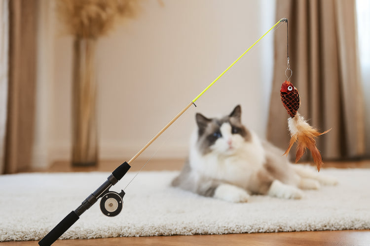 Jouets pour les chats tapis