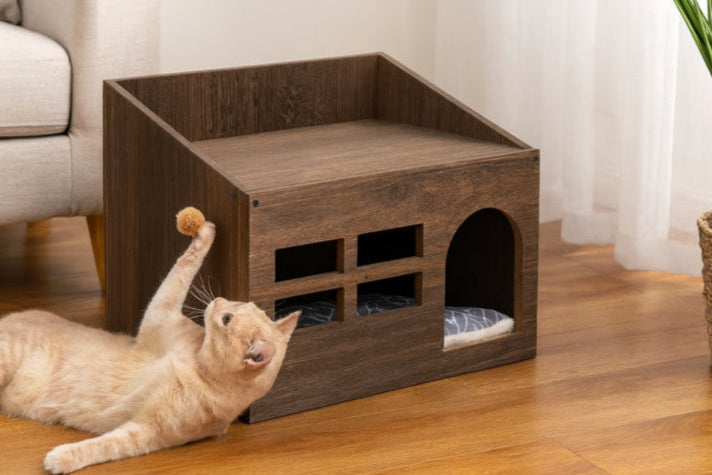 Niche de salon pour chat balle