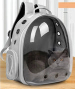 Sac à dos bulle pour chat - Vignette | ChatMour