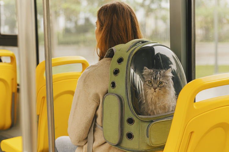 Sac à dos de transport chat bus
