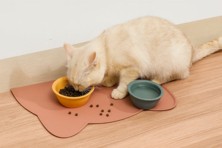 Tapis alimentation chat bol