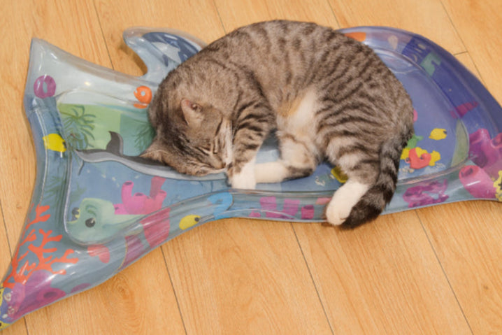 Tapis lit d'eau pour chat sol